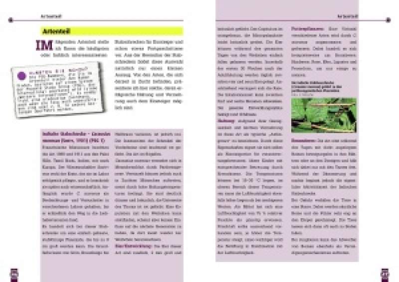 Preview: Stabschrecken